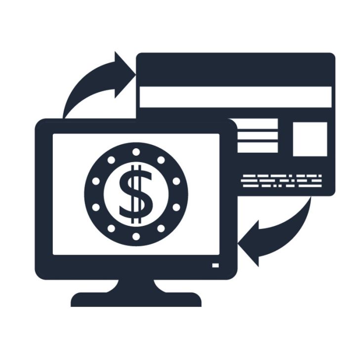 Make an Online Payment